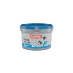 Enduit de lissage intrieur pte 4 kg blanc toupret