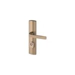 Ensemble poignée de porte blindée béquille sur plaque standard expression bricard entraxe 195mm brossé ... Ensemble poignée de porte blindée béquille sur plaque standard expression bricard entraxe 195mm brossé ...