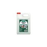 Essence de t�r�benthine pour traiter ph�bus 5l