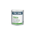 Fixateur faade tollens pro + blanc 3l