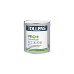 Fixateur faade tollens pro + blanc 3l