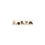 Frise adhésive lanata goodhome chiens Frise adhésive lanata goodhome chiens