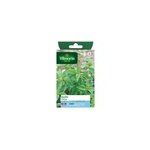 Graines de basilic variété ; citron ; vilmorin semis de mars à mai Graines de basilic variété ; citron ; vilmorin semis de mars à mai