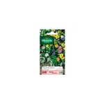 Graines de fleurs annuelles en mlange pour balcons