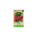 Graines de fraisier bio, 20 pièces, vilmorin Graines de fraisier bio, 20 pièces, vilmorin