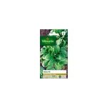 Graines de m�che vari�t�  ; vit ; vilmorin semis d'ao�t � octobre