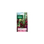 Graines de rose trémière double grande variée vilmorin Graines de rose trémière double grande variée vilmorin