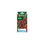 Graines de tomate varit  ; cerise ; vilmorin semis de fvrier  mai