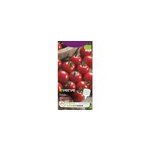 Graines de tomate bio vari�t�  ; red cherry ; verve semis de f�vrier � avril