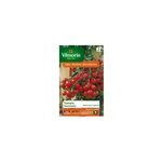 Graines de tomate varit  ; sweetbaby ; vilmorin semis de fvrier  mai
