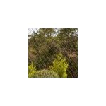 Grillage simple torsion blooma maille 60 x 60 mm vert 10 x h. 1 m