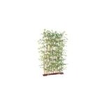 Haie bambou japanese artificiel h. 190 cm Haie bambou japanese artificiel h. 190 cm