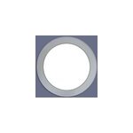 Hublot de porte skylab gris sans verre 260 mm