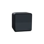 Interrupteur va - et - vient �tanche complet saillie schneider electric mureva styl anthracite