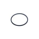 Joint caoutchouc pour culot siphon noyon & thiebault 54x60x2mm