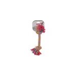 Jouet corde zolux 2 n uds 30cm pour chiens