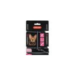 Kit sellerie pour chat noir zolux harnais et laisse