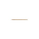 Manche bois 150 cm pour rateau duchesnay