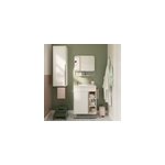 Meuble vasque faible profondeur blanc avec porte - serviettes l. 65 x h. 82 x p. 36 cm + plan vasque ...