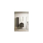 Meuble vasque suspendu effet ch�ne metz l. 60 cm + plan de toilette effet ch�ne metz, pura +