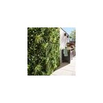 Mur vgtal artificiel jungle 100x100
