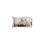 Papier peint panoramique intiss� fleuri, feuillage dor� sur fond aspect b�ton, 10 l�s, l. 280 x l. 500cm ...