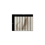 Papier peint panoramique vinyle intiss reality iv lutece mat et satin escalier, imitation, trompe l' ...