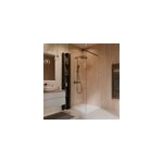 Paroi de douche fixe � l'italienne l. 100 x h. 200 cm, walk in, verre tremp� transparent 8 mm, noir, ...