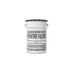 Peinture extrieure faade pliolite ; colours blanc 5l