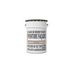 Peinture extrieure faade pliolite colours dominica 5l