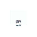 Peinture extrieure fer tollens ral 9016 blanc brillant 250ml