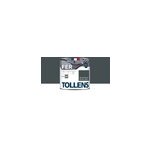 Peinture extrieure fer tollens brillant gris anthracite 500ml