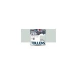 Peinture extrieure fer tollens brillant gris clair 500ml