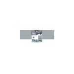 Peinture extrieure fer tollens brillant gris fenetre 250ml