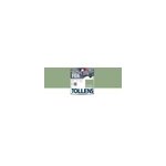 Peinture extrieure fer tollens brillant vert provence 250ml