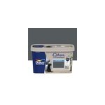 Peinture murs, plafonds, boiseries et radiateurs gris anthracite mat dulux valentine cr�me de couleur ...
