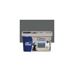 Peinture murs, plafonds, boiseries et radiateurs gris pierre de lave mat dulux valentine cr�me de couleur ...