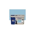 Peinture murs, plafonds, boiseries et radiateurs bleu c�lestesatin dulux valentine cr�me de couleur 2. ...