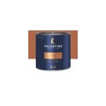 Peinture murs et boiseries bronze alezan dulux valentine mat velout� 2 l