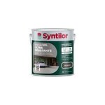 Peinture sol ext�rieur ultra r�sistante gris ardoise satin syntilor 2. 5 l