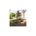 Potelet solaire ext�rieur avec d�tecteur de mouvement noir h. 112 f; cm ip44 little garden selena