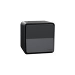 Interrupteur poussoir étanche complet saillie schneider electric mureva styl anthracite Interrupteur poussoir étanche complet saillie schneider electric mureva styl anthracite