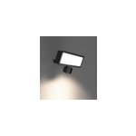 Projecteur mural led ext�rieur noir 30 w 3750 lm d�tecteur de mouvement ip65, goodhome davern