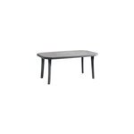 Table de jardin eden grosfillex l. 165 x l. 100 x h. 72 cm gris anthracite
