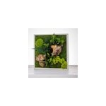 Tableau vgtal dcoratif stabilis carr