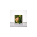 Tableau vgtal dcoratif stabilis mono