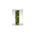 Tableau vgtal stabilis panoramique