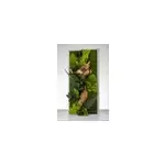 Tableau vgtal stabilis rectangle 27 x 57 cm