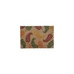 Tapis d'entr�e absorbant fibres de coco foug�re multicouleurs l. 40 x l. 60 cm