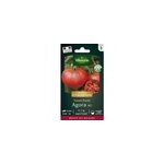 Tomate ronde agora hf1 en graines vilmorin Tomate ronde agora hf1 en graines vilmorin